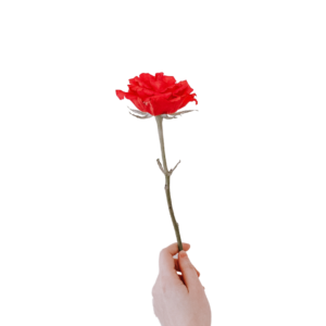 "Buy Me a Rose" - Customized Video Production Service Tier 1